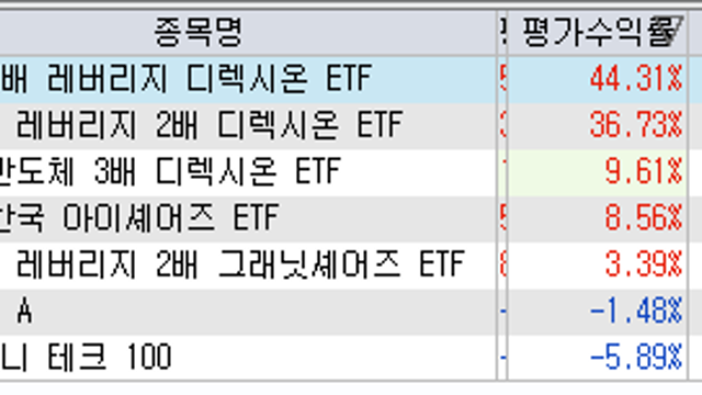 테슬라 주가 폭락, 미국이 스페이스X와 테슬라 없이 패권경쟁에서 승리할 수 있을까? (TSLA , TSLL, TSLR, DXYZ)