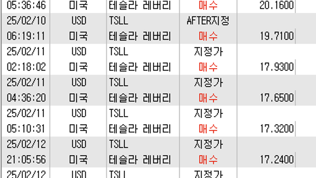 테슬라 매도 -> TSLL 스위칭 매수