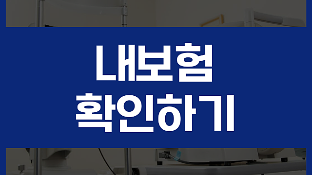 내보험다보여 내보험찾아줌 통해서 보험가입내역조회 해보세요