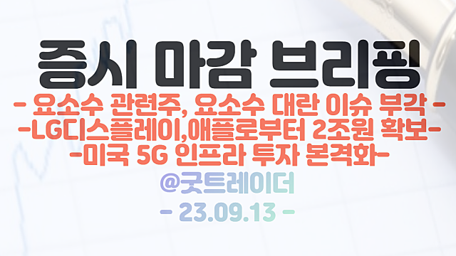 요소수 관련주 :: 요소수 대란 이슈 부각 / OLED 관련주 :: LG디스플레이, 애플로부터 2조원 선수금 확보
