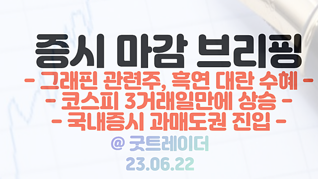 흑연 관련주 : 흑연 대란 수혜 기대, 그래핀 관련주 부각 / 6월 22일 시간외 단일가 특징주 상한가