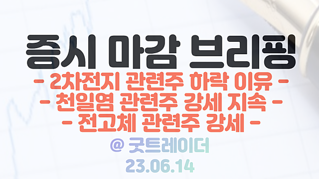 2차 전지 관련주 :: 에코프로비엠, 에코프로 하락 이유 / 천일염 관련주 강세 지속 / 6월 14일 시간외 단일가 상한가 특징주