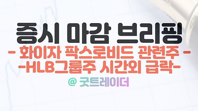 화이자 팍스로비드 관련주, 중국 부유층 사재기 지속. HLB 그룹주 시간외 급락 이유