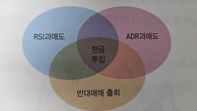 부자회사원 유튜브 영상 소개 중 '바텀피싱' 전략 관련