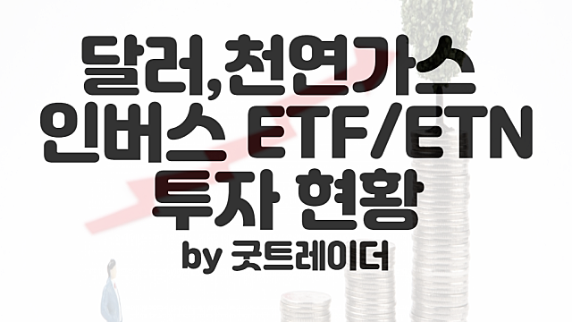 달러투자 인버스 레버리지 ETF, 천연가스 ETN 투자 현황