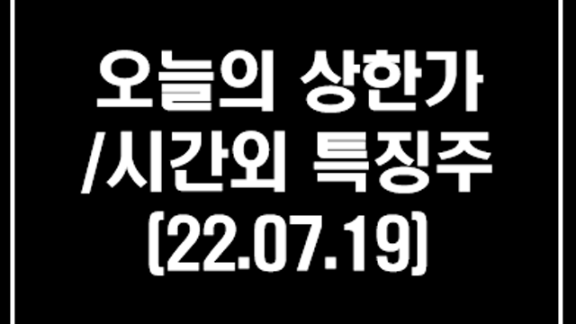 상한가 종목 및 시간외 단일가 특징주 정리 :: 코데즈컴바인, 신라섬유,양지사 - 품절주 장세