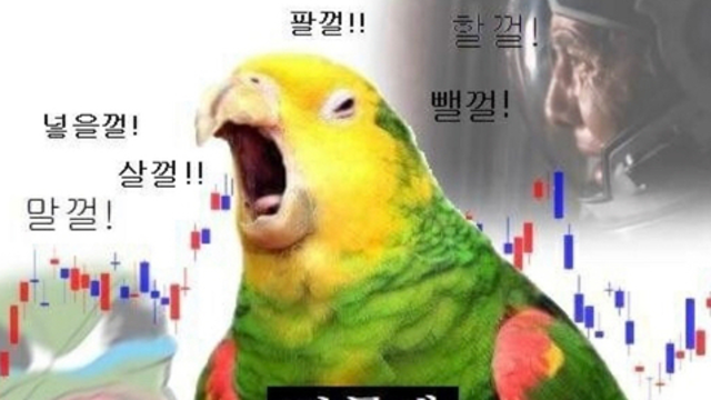 껄무새와 함께 한 미국주식 투자 기록