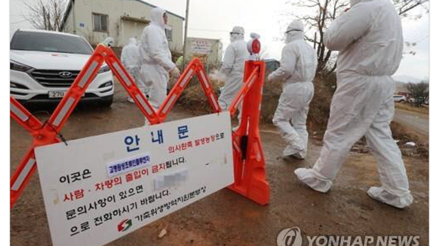 정읍 오리농장 고병원성 인플루엔자 확진, 조류독감 관련주 매매전략은?