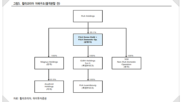 LG화학 물적분할 관련 분석 (이지바이오,솔브레인 사례와 비교)