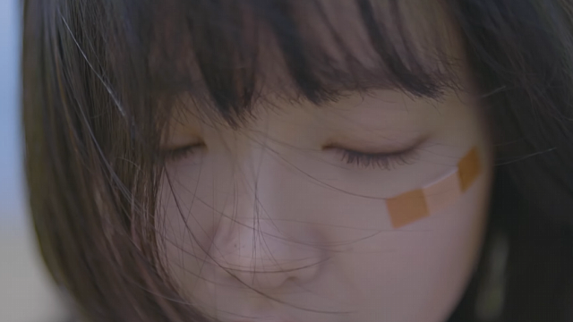 어느 투자자의 봄날. 입춘에서 발화까지